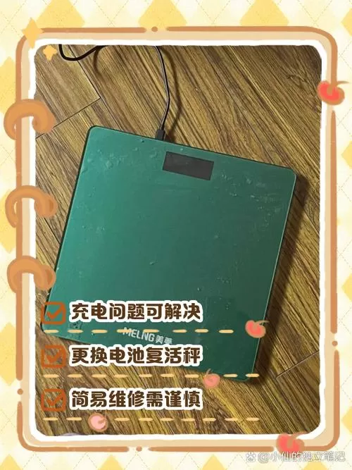 电子秤充不上电,但是插上电能用