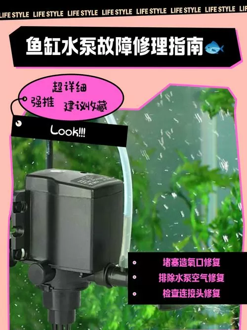 鱼缸水泵总是把水抽干怎么解决