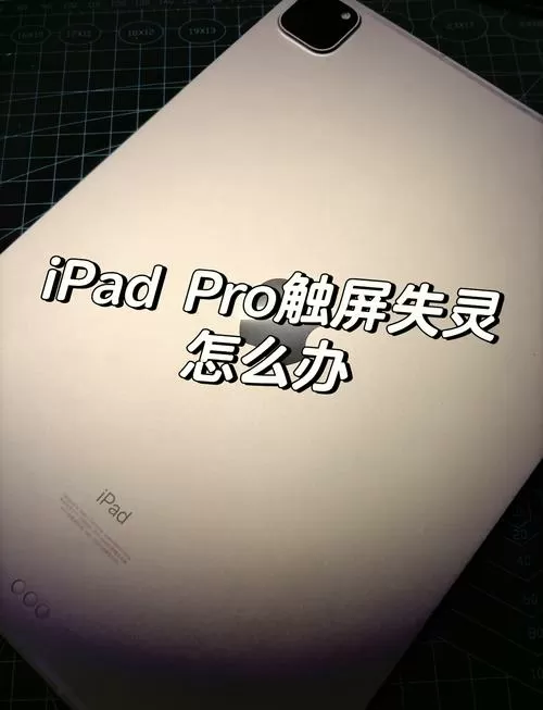 ipad触屏失灵关不了机怎么办