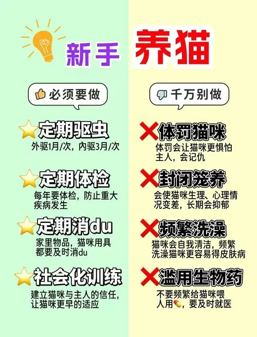任务猫安全吗