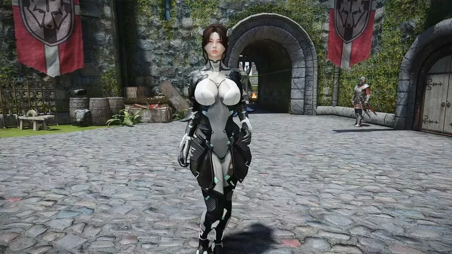 上古卷轴5衣服mod怎么用