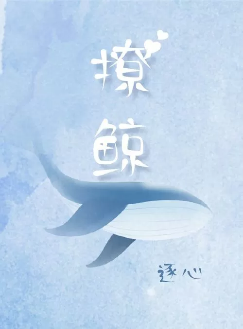 撩鲸小说免费阅读