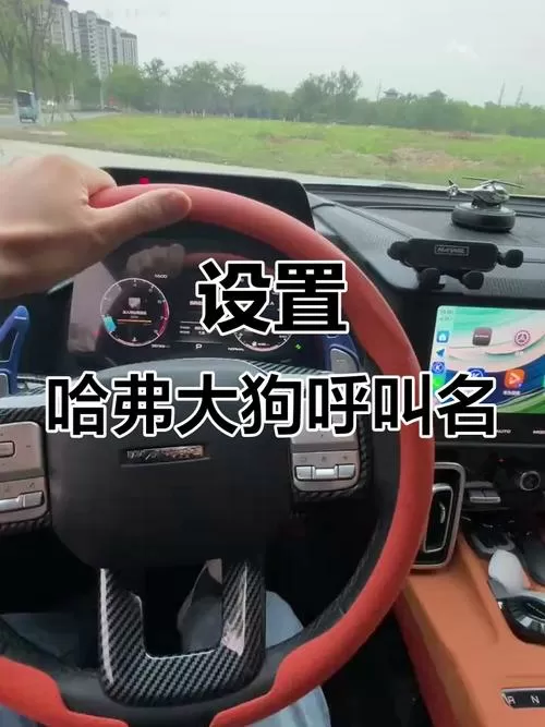 哈弗神兽语音功能怎么唤醒
