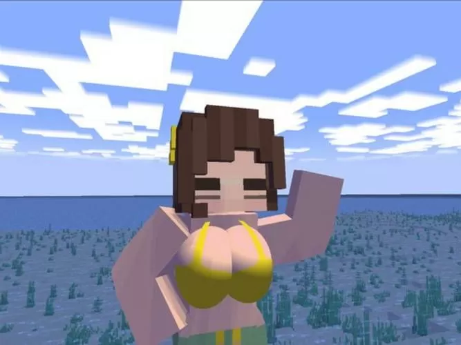 我的世界比基尼皮肤