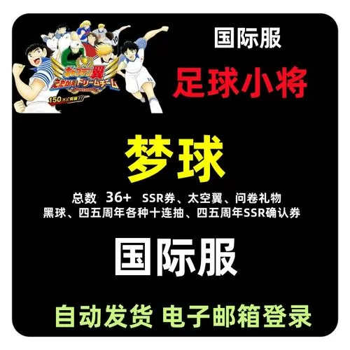 队长小翼梦之队国际服