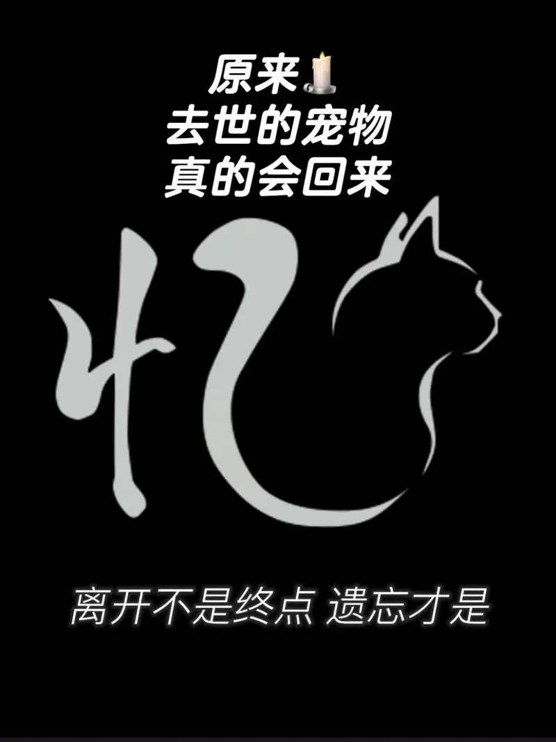 狗狗离世前的征兆