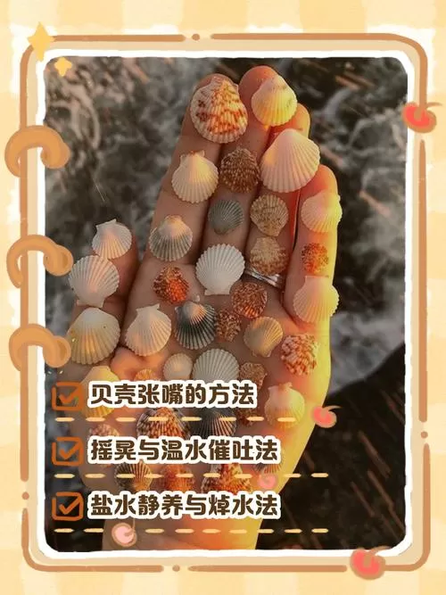 荒岛求生修改贝壳教程