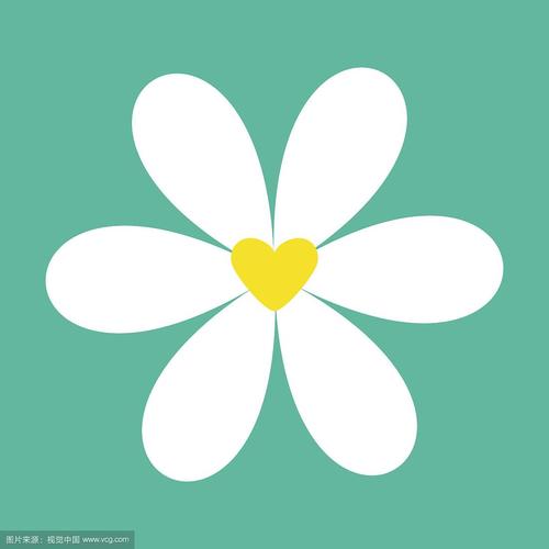 小菊花视频
