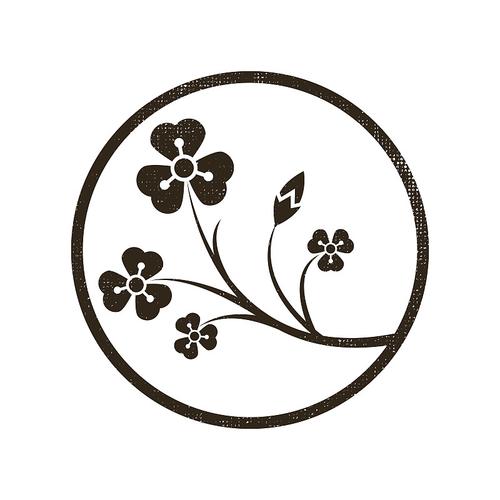 花枝视频