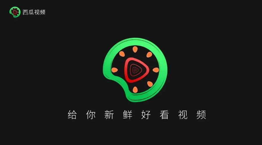 见趣视频图标