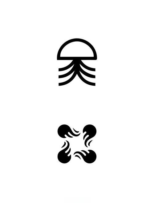 水母视频