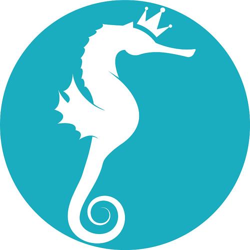 海马视频