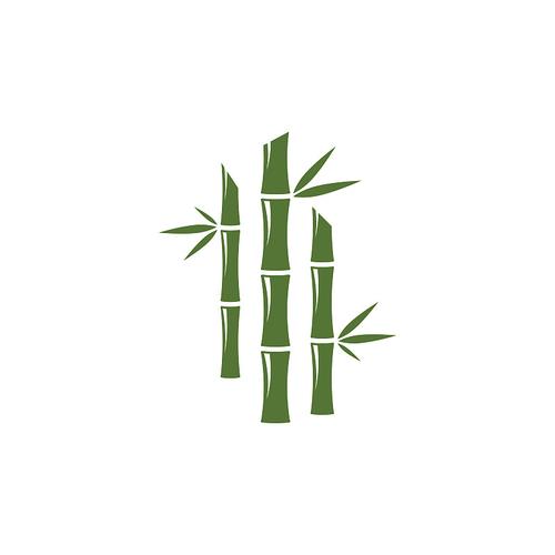 竹叶视频