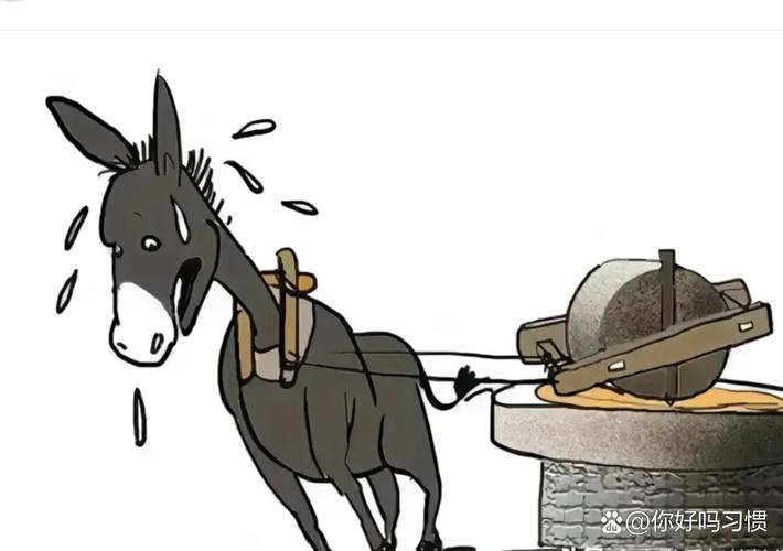 打驴动漫