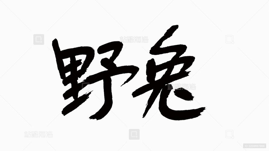 野兔视频