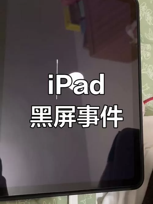 ipad闪屏后黑屏 无法启动