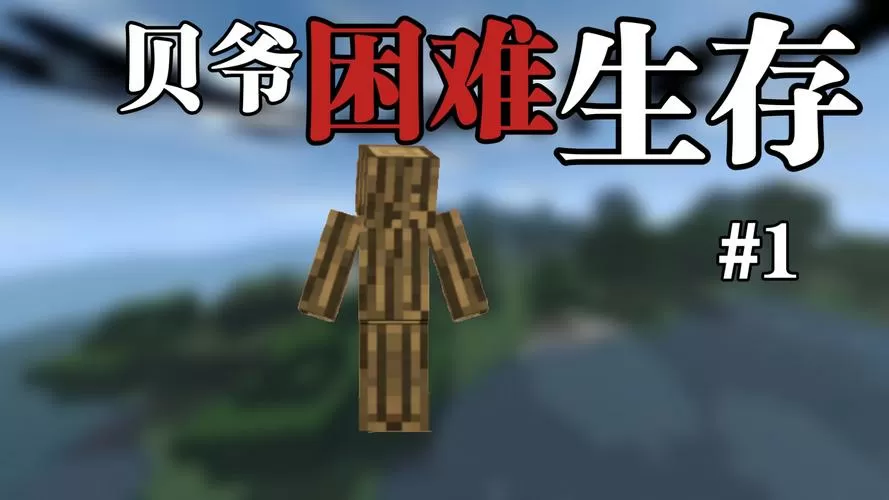 我的世界贝爷生存资源包