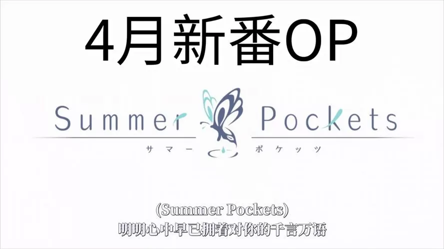 夏日口袋krkr版