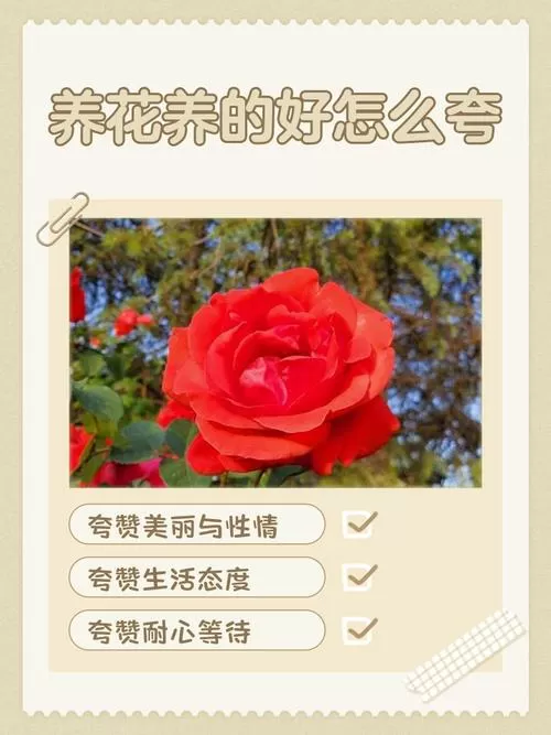 别人夸你养的花漂亮怎么幽默回答