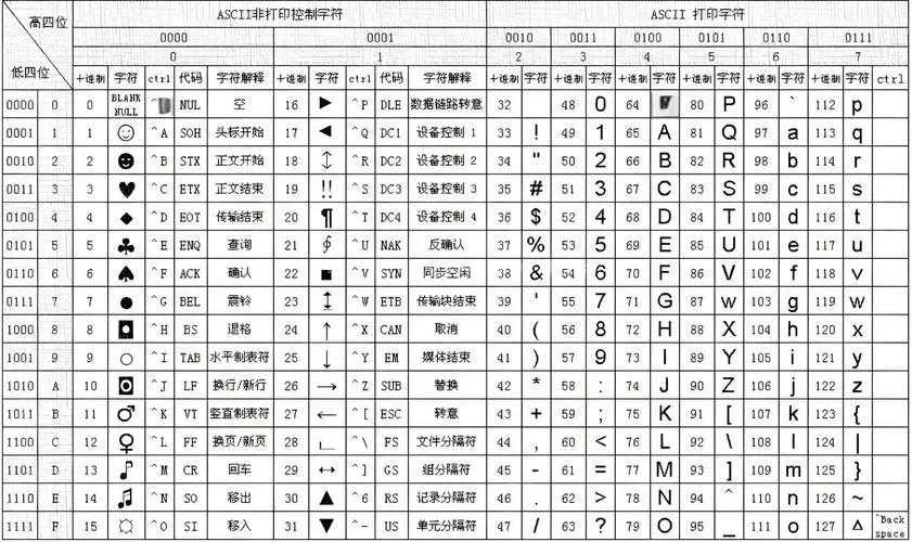 编码类型有哪几种