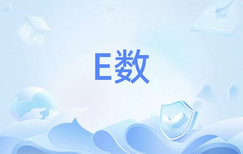 数字中出现e是什么意思