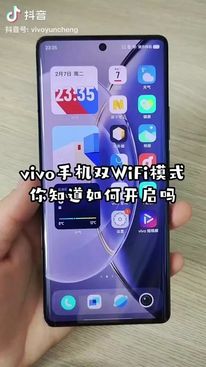 vivo手机的联网控制在哪里