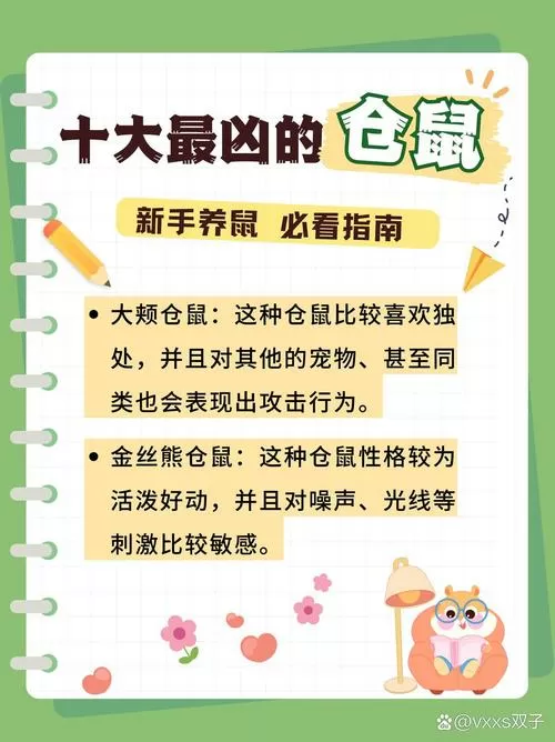 十大最凶仓鼠排名
