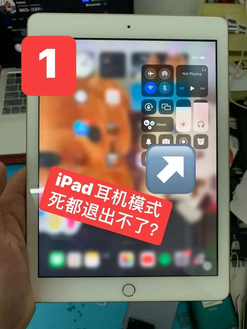 ipad只能用耳机不能用扬声器