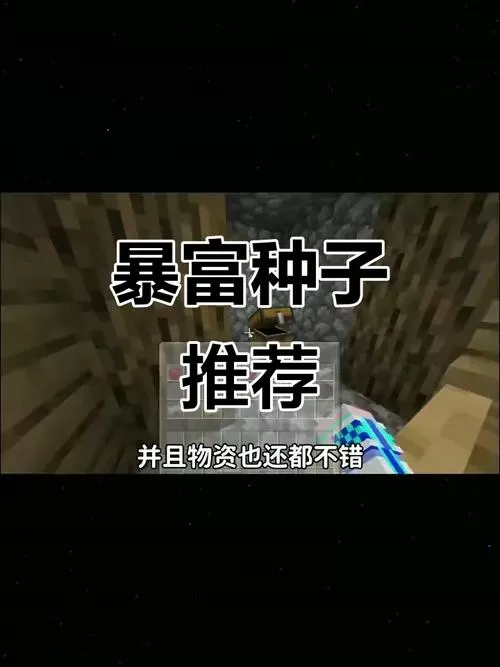 我的世界网易版开局暴富种子
