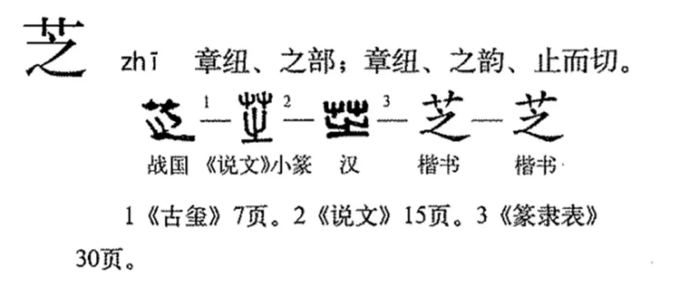 芝字怎么解释