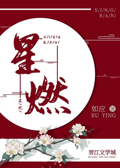 燃文小说手机版