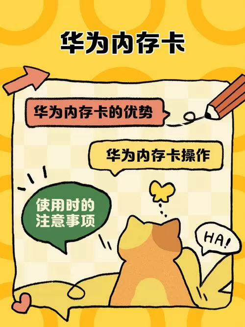 华为读取外置存储卡读取权限