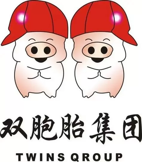 双胞胎中文版内置菜单