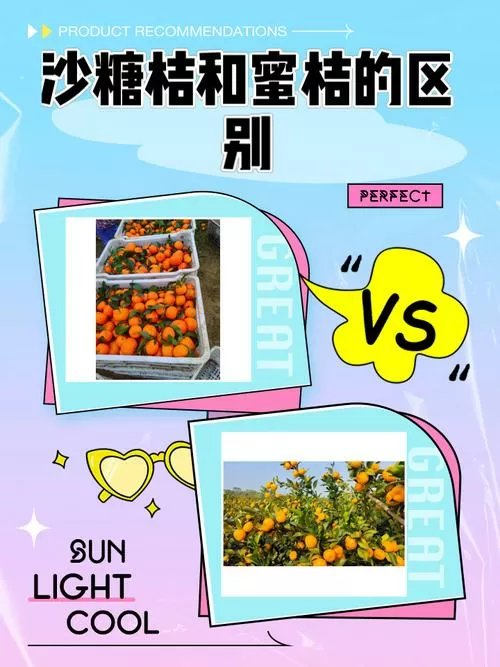 蜜桔和蜜橘有什么区别