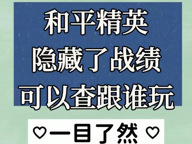 和平精英隐藏战绩查询软件下载