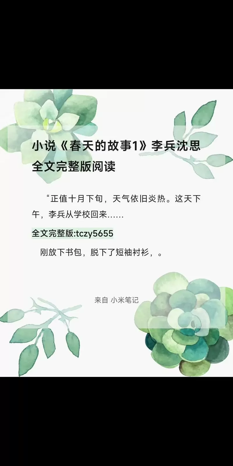 春天的故事李兵沈思