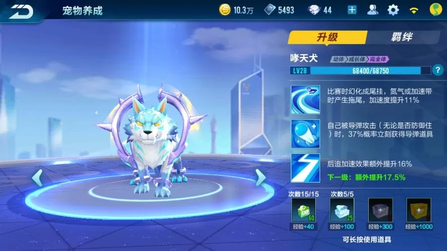 qq飞车宠物秘境需要多少宠物能量