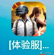 和平精英(体验服)下载安装