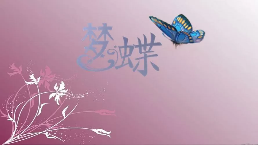 小说题目中有蝶梦