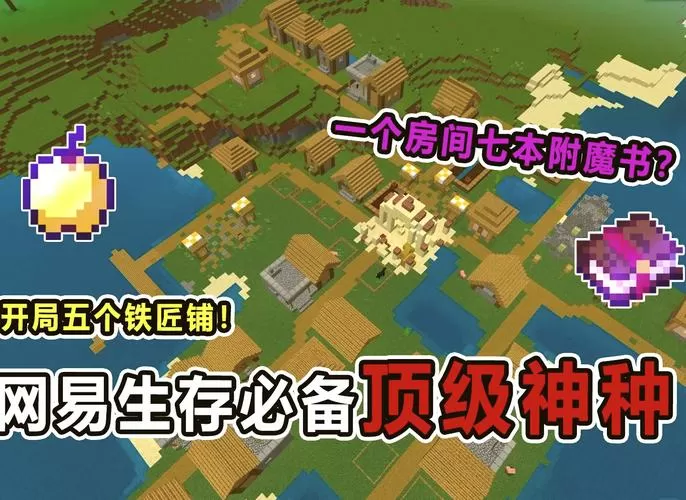 我的世界神种