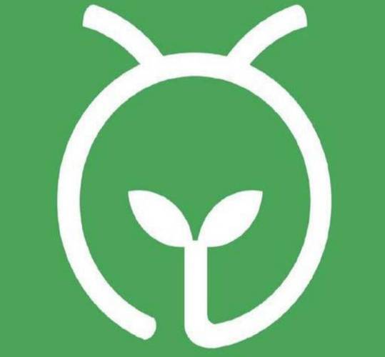 为什么蚂蚁森林总是自动打开
