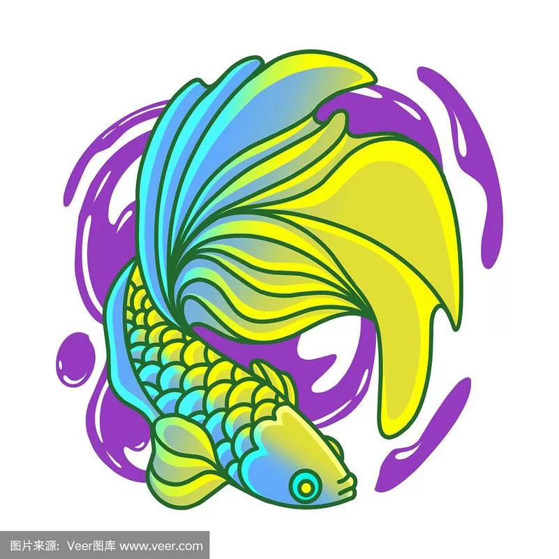 彩色斗鱼