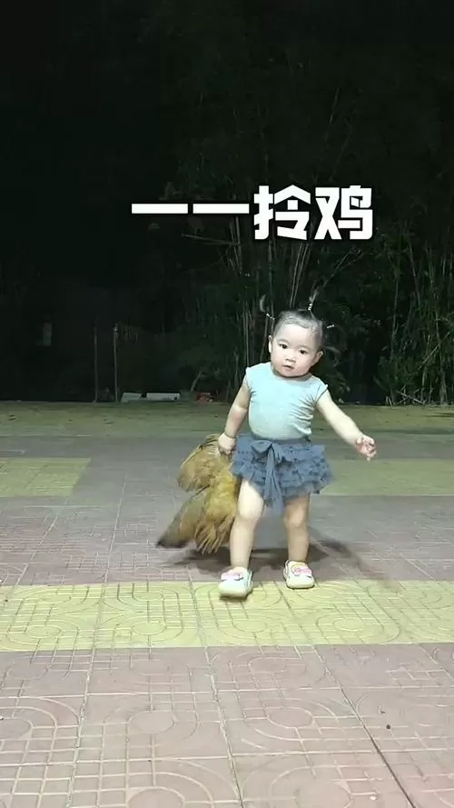 拎小鸡仔表情包