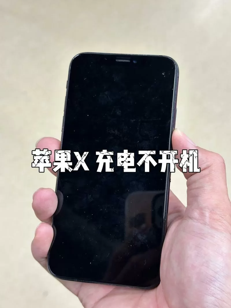 苹果手机充电后黑屏无法开机怎么办