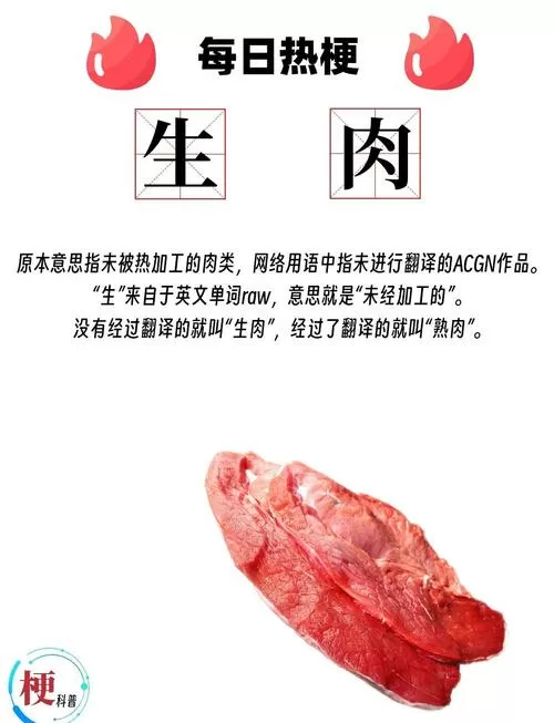把肉切成块翻译