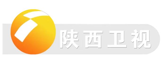 陕西一套全天节目表