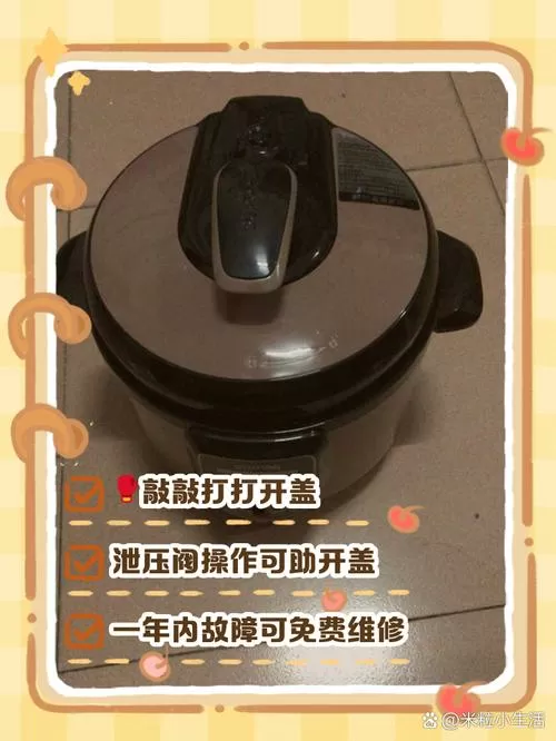 苏泊尔压力锅锅盖坏了怎么办游戏截图