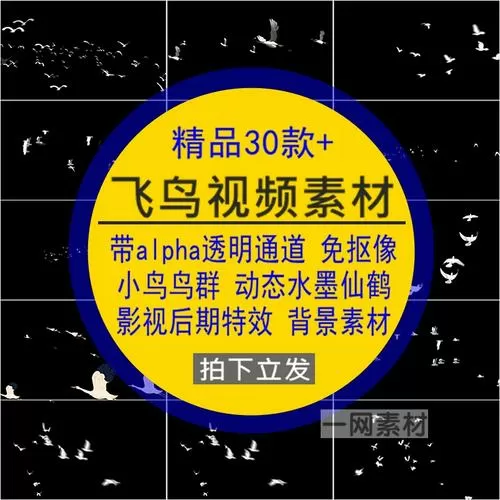 飞鸟影视停播原因与解决方法