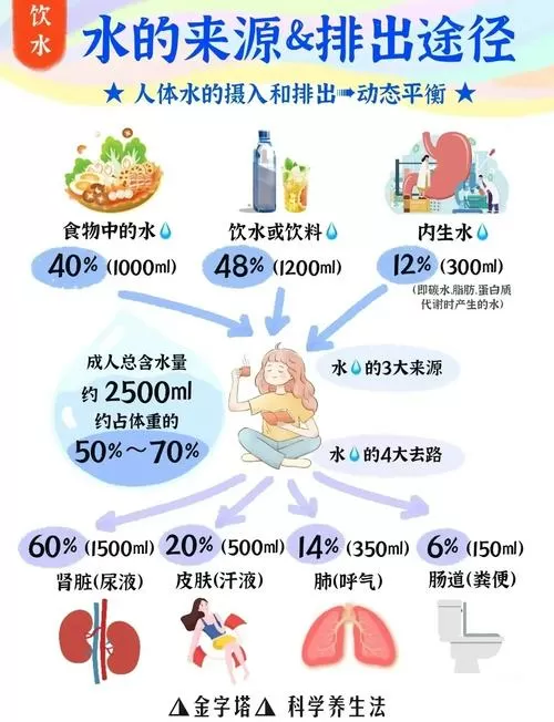人体正常水的摄入量是多少