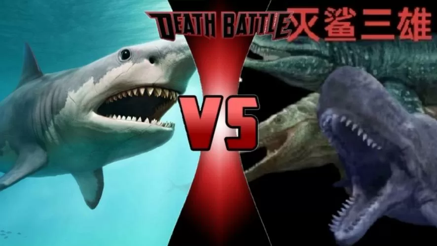 火鲨vs毒鲨vs巨齿鲨